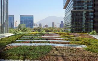 Even in the arid regions around the Mediterranean, an efficient irrigation system means good savings. Extensive green roof amidst skyscrapers